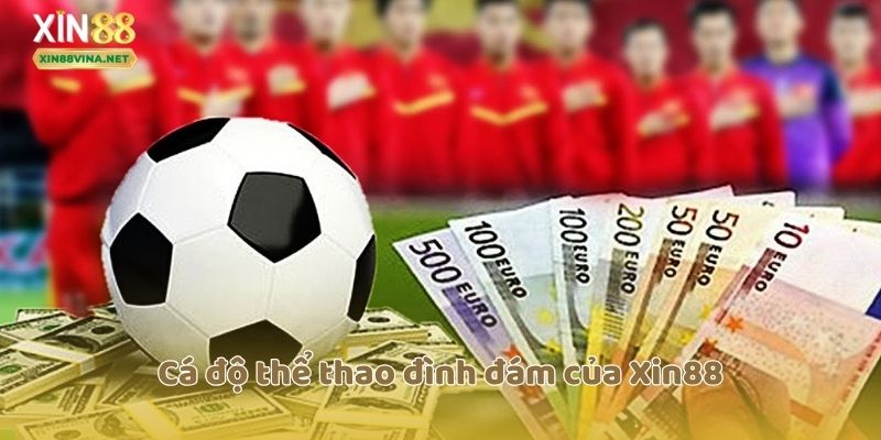 Cá độ thể thao đình đám của Xin88