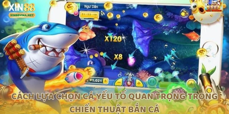 Cách lựa chọn cá yếu tố quan trọng trong chiến thuật bắn cá