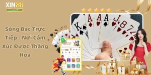 Sòng Bạc Trực Tiếp - Thiên Đường Cảm Xúc Được Thăng Hoa